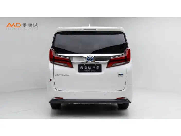 Elfa 2021 Model Hybrid 2.5L Deluxe Edition – фото 3
