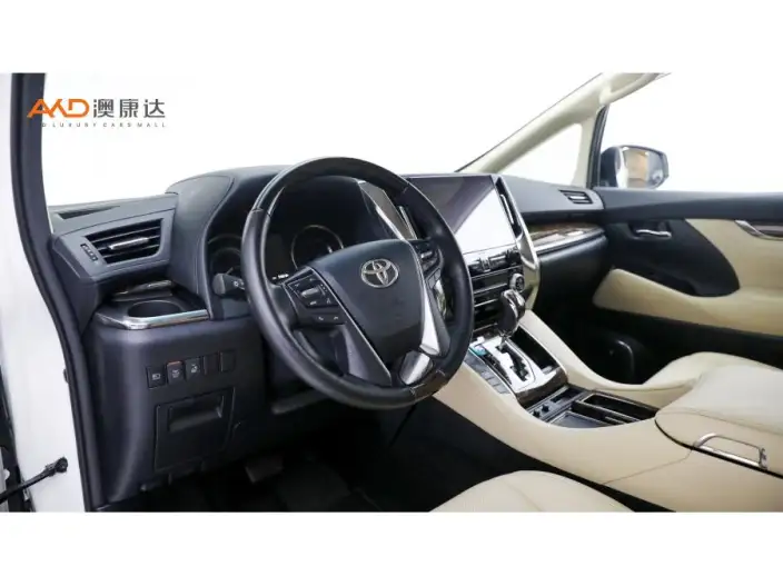 Elfa 2021 Model Hybrid 2.5L Deluxe Edition – фото 6