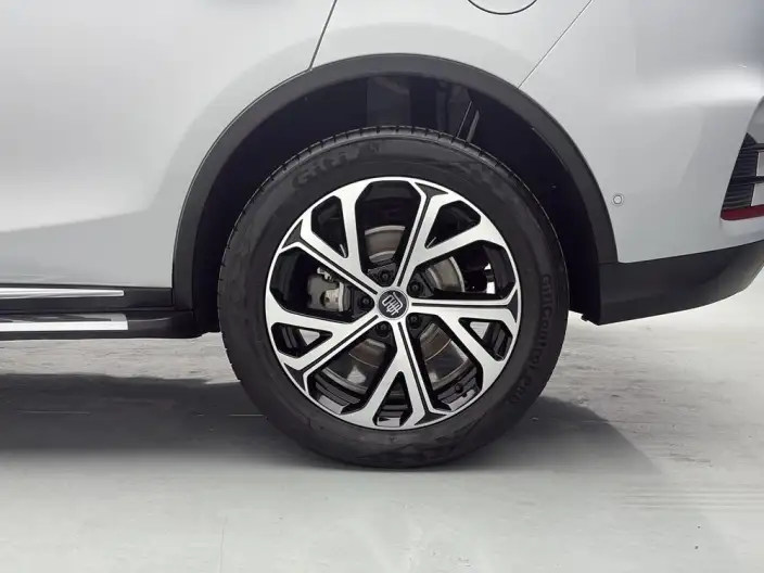 BYD Tang DM 2025 Model Smart Driving Edition DM-i 115KM Zunrong Model – фото 9