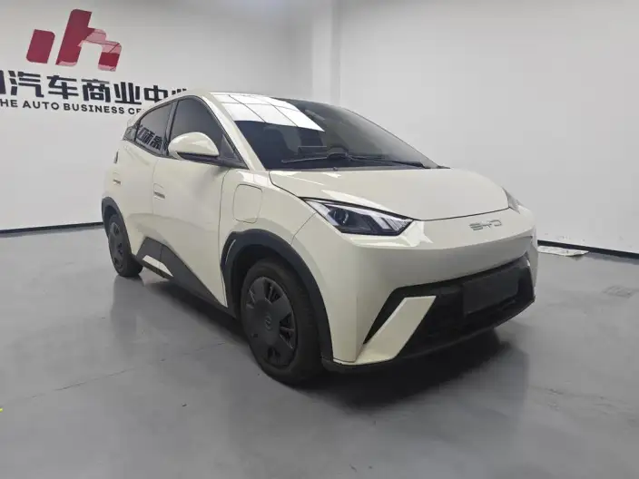 BYD Seagull 2023 Model Vitality Edition – фото 3