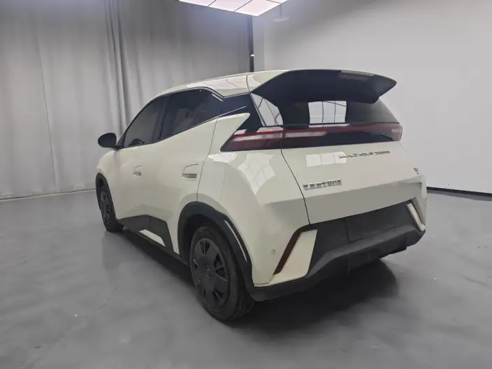 BYD Seagull 2023 Model Vitality Edition – фото 4