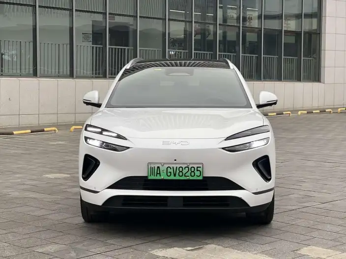 Sea Lion 06DM 2025 Model DM-i 205KM Pilot Pro Edition – фото 2