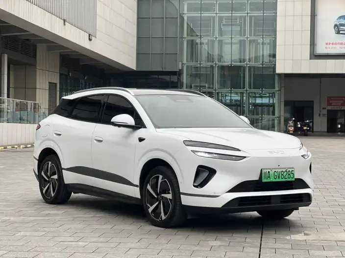 Sea Lion 06DM 2025 Model DM-i 205KM Pilot Pro Edition – фото 3