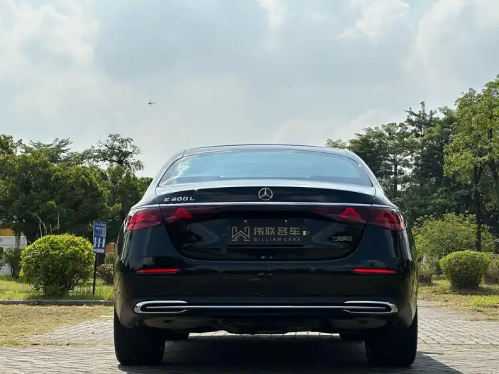Mercedes-Benz E-Class 2025 Model Facelift E 300 L Luxury Model sedan – фото 5