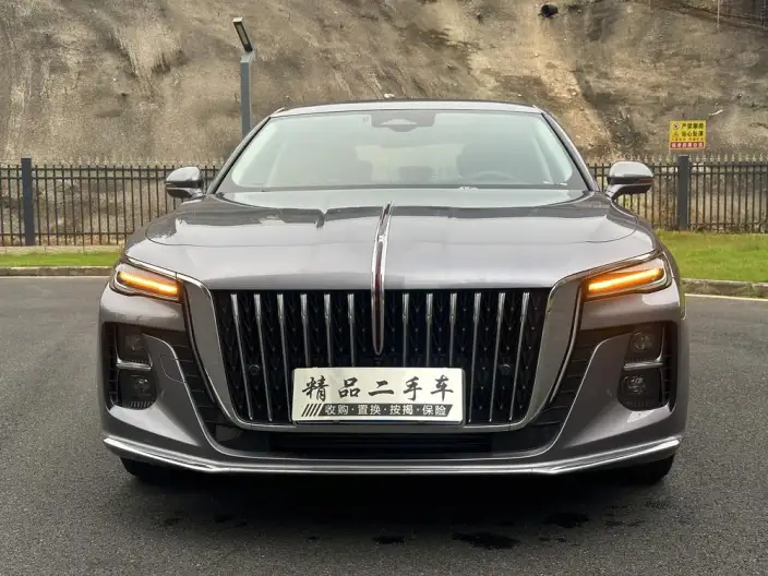 Hongqi H5 2023 Model 2.0T Automatic Flag Lead Edition – фото 10