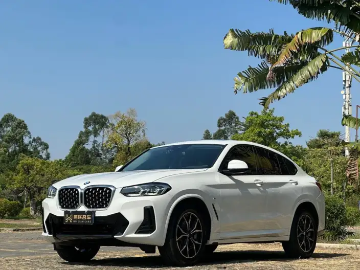 BMW X4 2022 Model xDrive 25i M Sports Set – фото 1