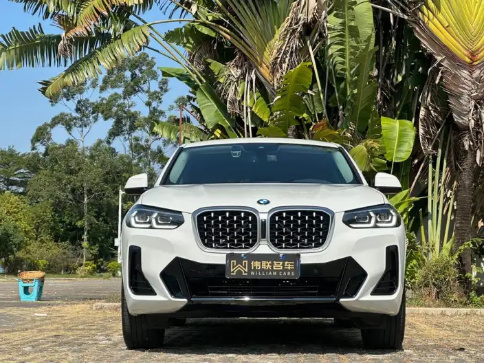 BMW X4 2022 Model xDrive 25i M Sports Set – фото 2