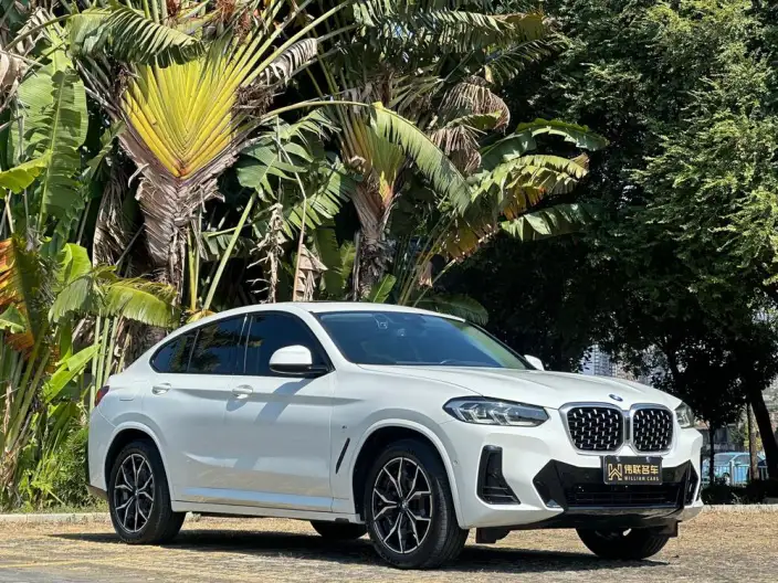 BMW X4 2022 Model xDrive 25i M Sports Set – фото 3