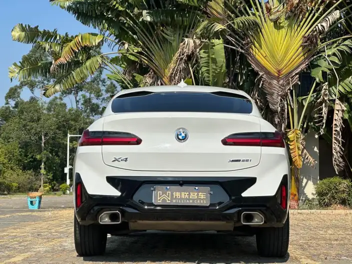 BMW X4 2022 Model xDrive 25i M Sports Set – фото 5