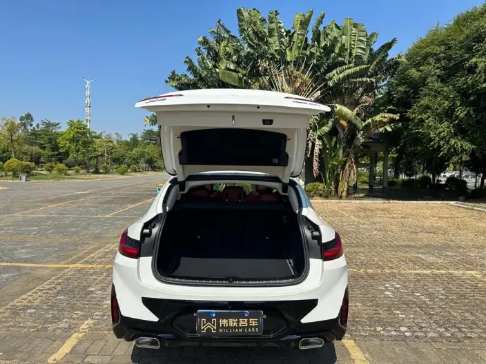 BMW X4 2022 Model xDrive 25i M Sports Set – фото 10