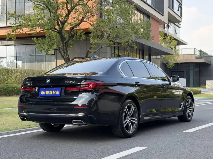 BMW 5 Series 2022 Model Facelift 530Li Leading Model Luxury Set – фото 6