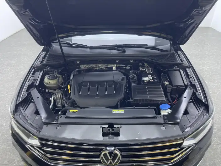 Volkswagen Magotan 2020 Model 330TSI DSG Luxury Model – фото 10