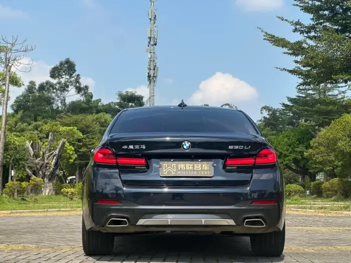 BMW 5 Series 2022 Model 530Li Leading Model M Sports Set – фото 5