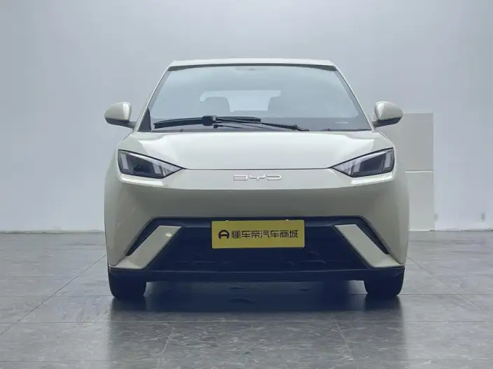 BYD Seagull 2024 Model Honor Edition 305KM Free Edition – фото 2