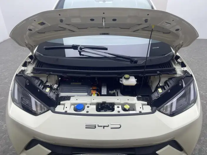 BYD Seagull 2024 Model Honor Edition 305KM Free Edition – фото 10