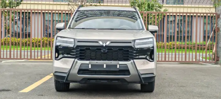 Xingguang 560 PHEV 2026 Model 125km Luxury Model