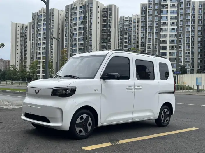 WULING Sunshine EV 2025 Model Enterprising Model