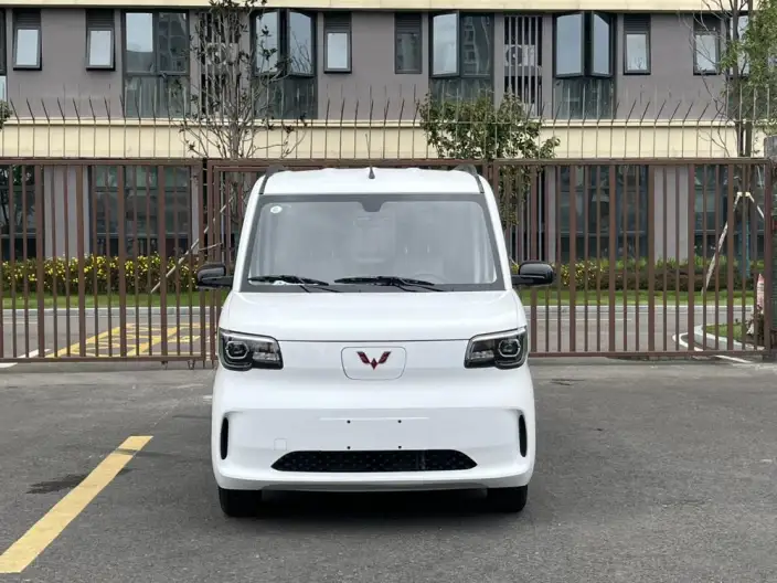 WULING Sunshine EV 2025 Model Enterprising Model