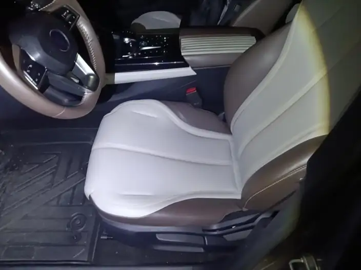 BYD Qin PLUS DM 2023 Model DM-i Champion Edition 55KM Leading Model – фото 10