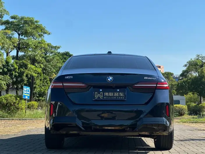 BMW 5 Series 2025 Model 530Li Leading Model M Sports Set – фото 5