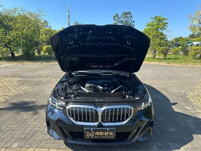 BMW 5 Series 2025 Model 530Li Leading Model M Sports Set – фото 9