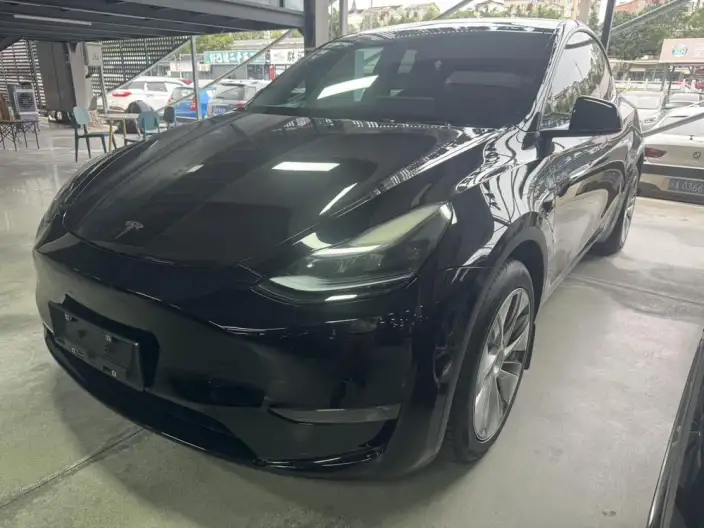 Model Y 2022 Model Long Battery Life Pro All-wheel drive version – фото 1