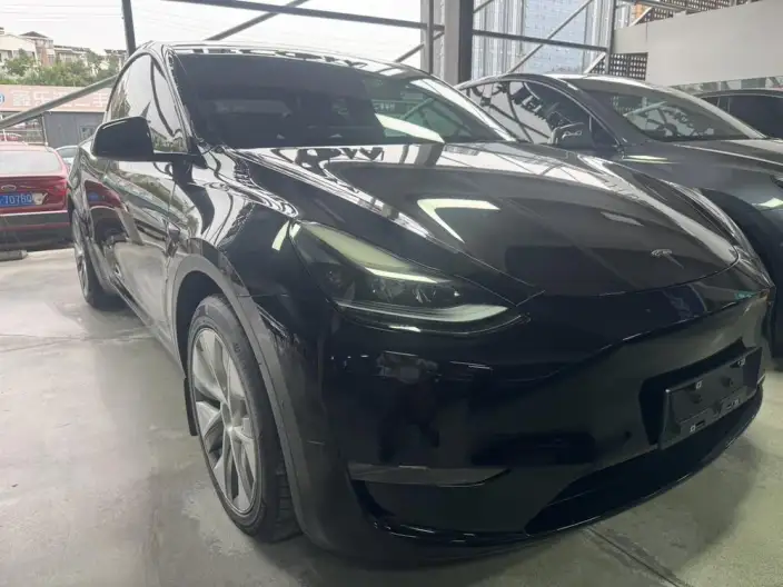 Model Y 2022 Model Long Battery Life Pro All-wheel drive version – фото 2