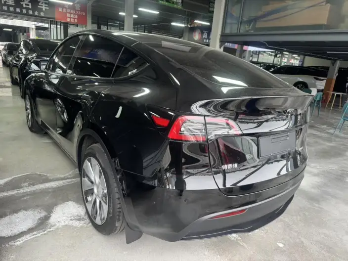 Model Y 2022 Model Long Battery Life Pro All-wheel drive version – фото 3