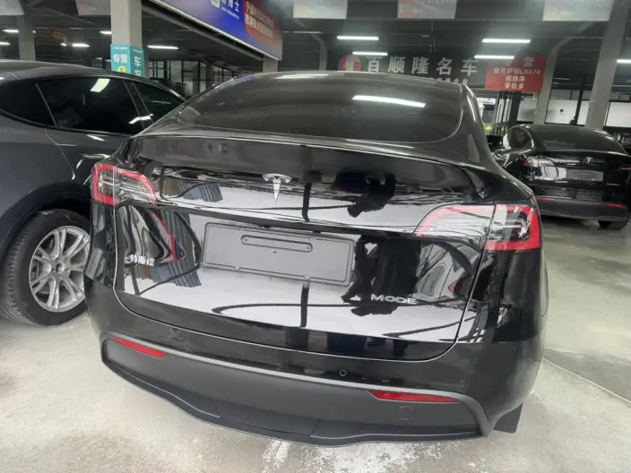 Model Y 2022 Model Long Battery Life Pro All-wheel drive version – фото 4