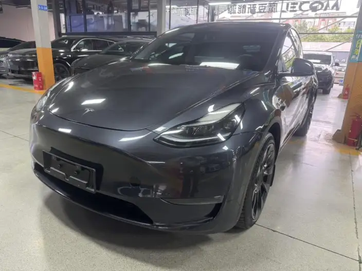 Model Y 2024 Model Long Battery Life Pro All-wheel drive version – фото 1