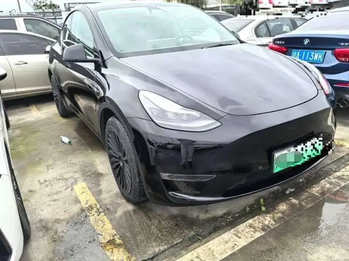 Model Y 2022 Model Long Battery Life Pro All-wheel drive version – фото 3