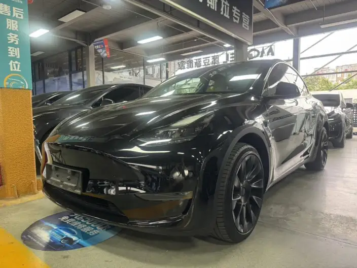 Model Y 2023 Model Long Battery Life Pro All-wheel drive version – фото 1
