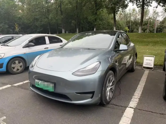 Model Y 2022 Model Rear-wheel drive version – фото 1