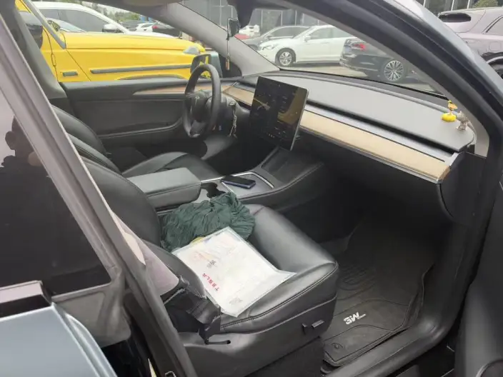Model Y 2022 Model Rear-wheel drive version – фото 8