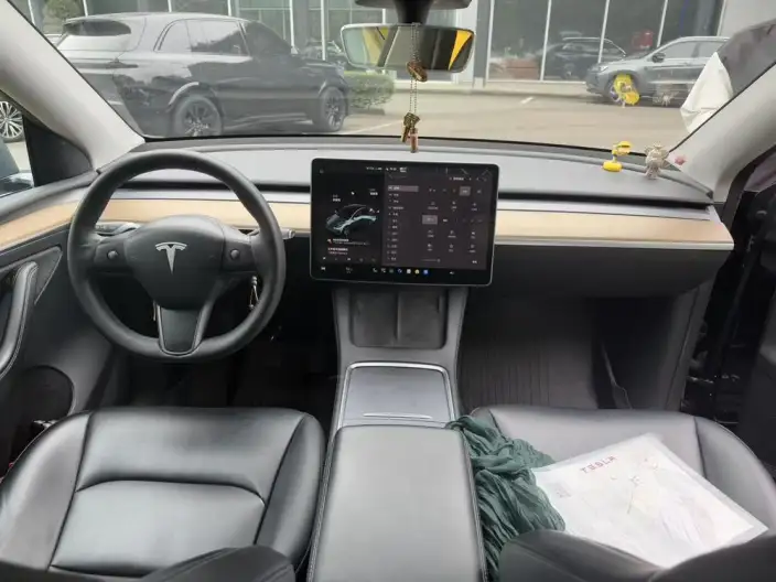 Model Y 2022 Model Rear-wheel drive version – фото 9