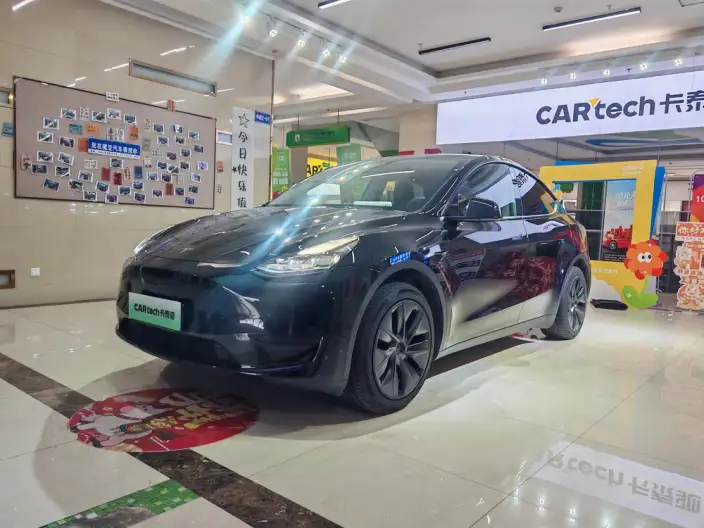 Model Y 2023 Model Rear-wheel drive version – фото 1