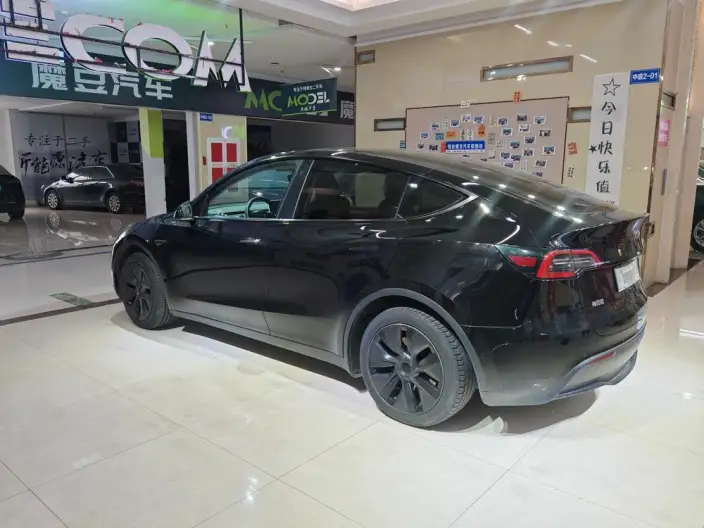Model Y 2023 Model Rear-wheel drive version – фото 4