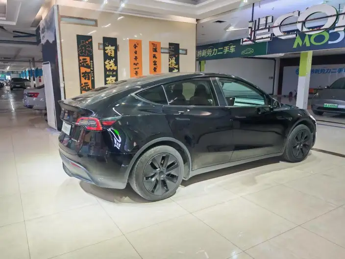 Model Y 2023 Model Rear-wheel drive version – фото 5