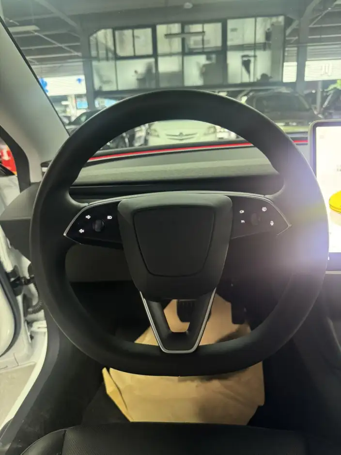 Model 3 2023 Model Rear-wheel drive version – фото 8