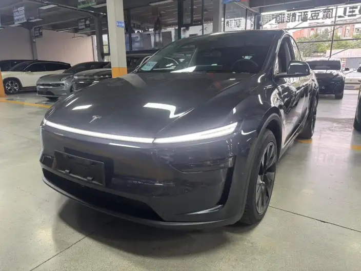 Model Y 2025 Model Long Battery Life Pro All-wheel drive version – фото 1