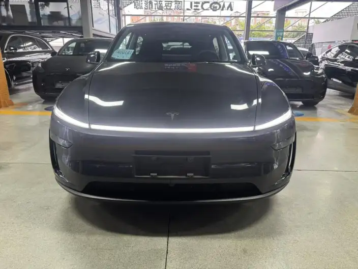 Model Y 2025 Model Long Battery Life Pro All-wheel drive version – фото 2