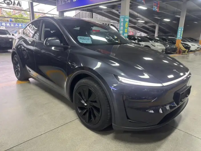 Model Y 2025 Model Long Battery Life Pro All-wheel drive version – фото 3
