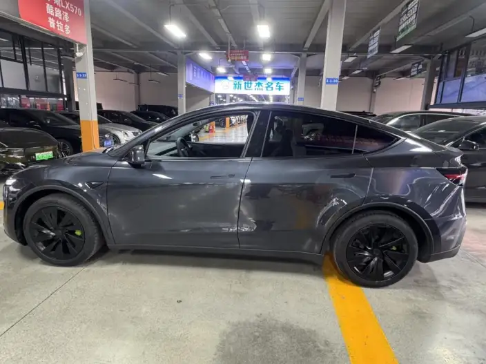 Model Y 2025 Model Long Battery Life Pro All-wheel drive version – фото 4