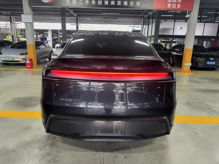 Model Y 2025 Model Long Battery Life Pro All-wheel drive version – фото 6