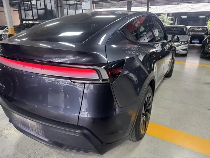 Model Y 2025 Model Long Battery Life Pro All-wheel drive version – фото 7
