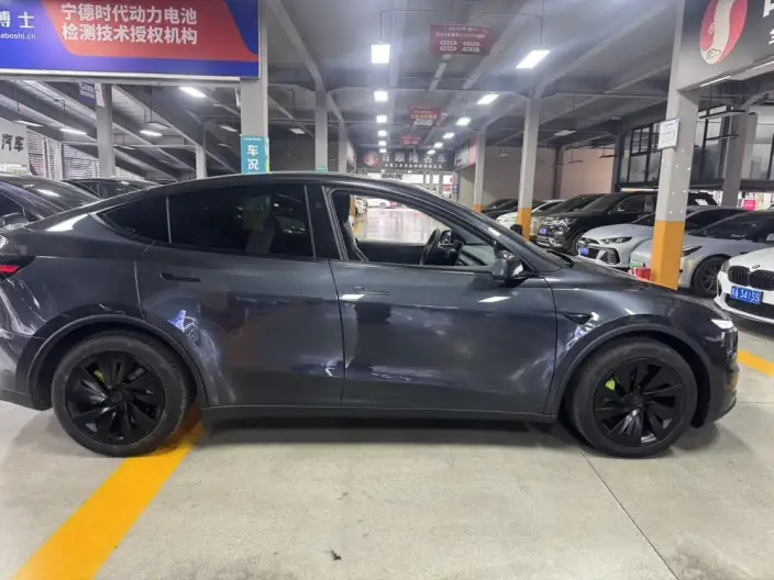 Model Y 2025 Model Long Battery Life Pro All-wheel drive version – фото 8
