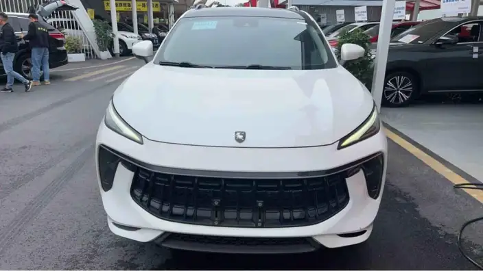 Fengxing T5 EVO 2021 Model 1.5TD DCT Diamond Edition – фото 2