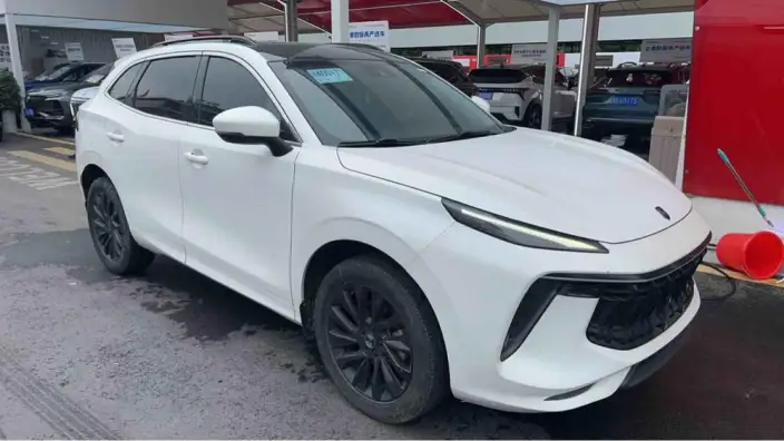 Fengxing T5 EVO 2021 Model 1.5TD DCT Diamond Edition – фото 3