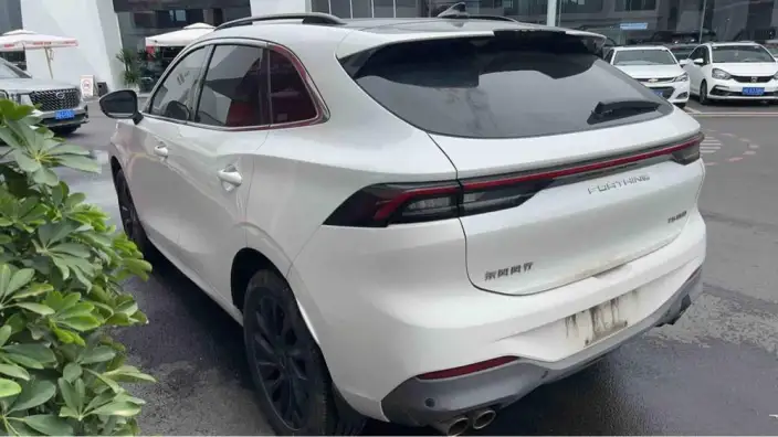 Fengxing T5 EVO 2021 Model 1.5TD DCT Diamond Edition – фото 4