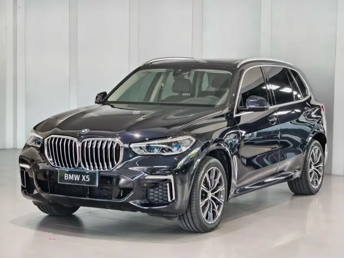 BMW X5 2022 Model Facelift xDrive 30Li Exclusive Model M Sports Set – фото 1